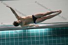 Swimming & Diving vs RWU  Swimming & Diving vs Roger Williams University. - Photo by Keith Nordstrom : Wheaton, Swimming